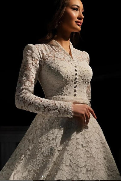 2025-vintage-lace-wedding-dresses-long-sleeves-1